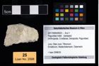 Foto (Objekt + Etikett) von Paguridae indet.  (NHMW-GEO-2017-0093-0023)